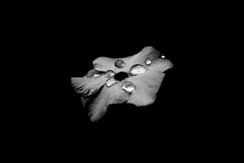 miguel-mateo-212333b